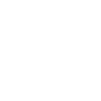 Lepton 