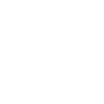 EgyptAir